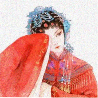 读者第十三次观测的头像